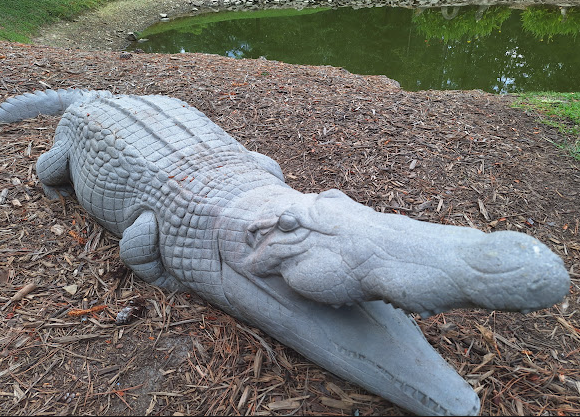 Corley the Crocodile