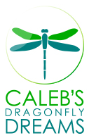 Calebs Dragonfly Dreams Calebs Dragonfly Dreams
