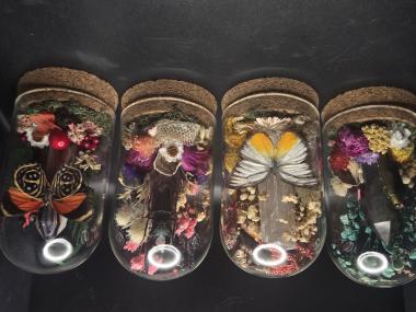Insect Cloche with crystals and preserved flowers 