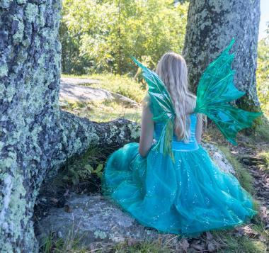 Forest Fairy