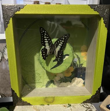 Musical butterfly 