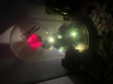 Butterfly rose