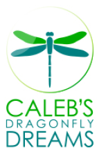 Calebs Dragonfly Dreams