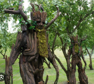 Spirits of the Wychwood