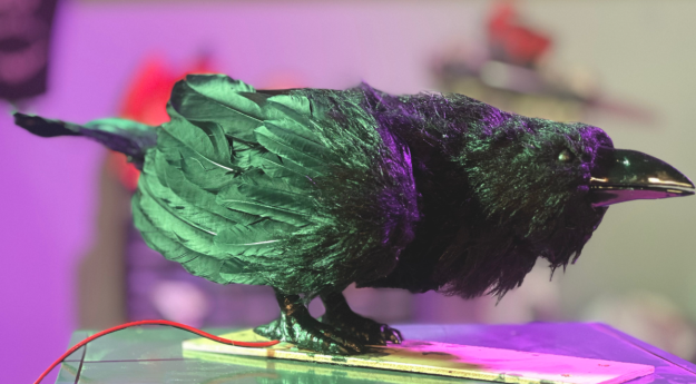 Caedmon the Raven Caedmon the Raven