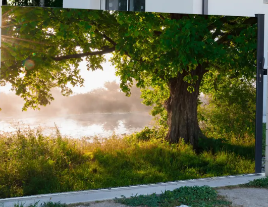 Large Tree on Lake Backdrop