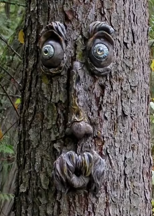 Tree Face