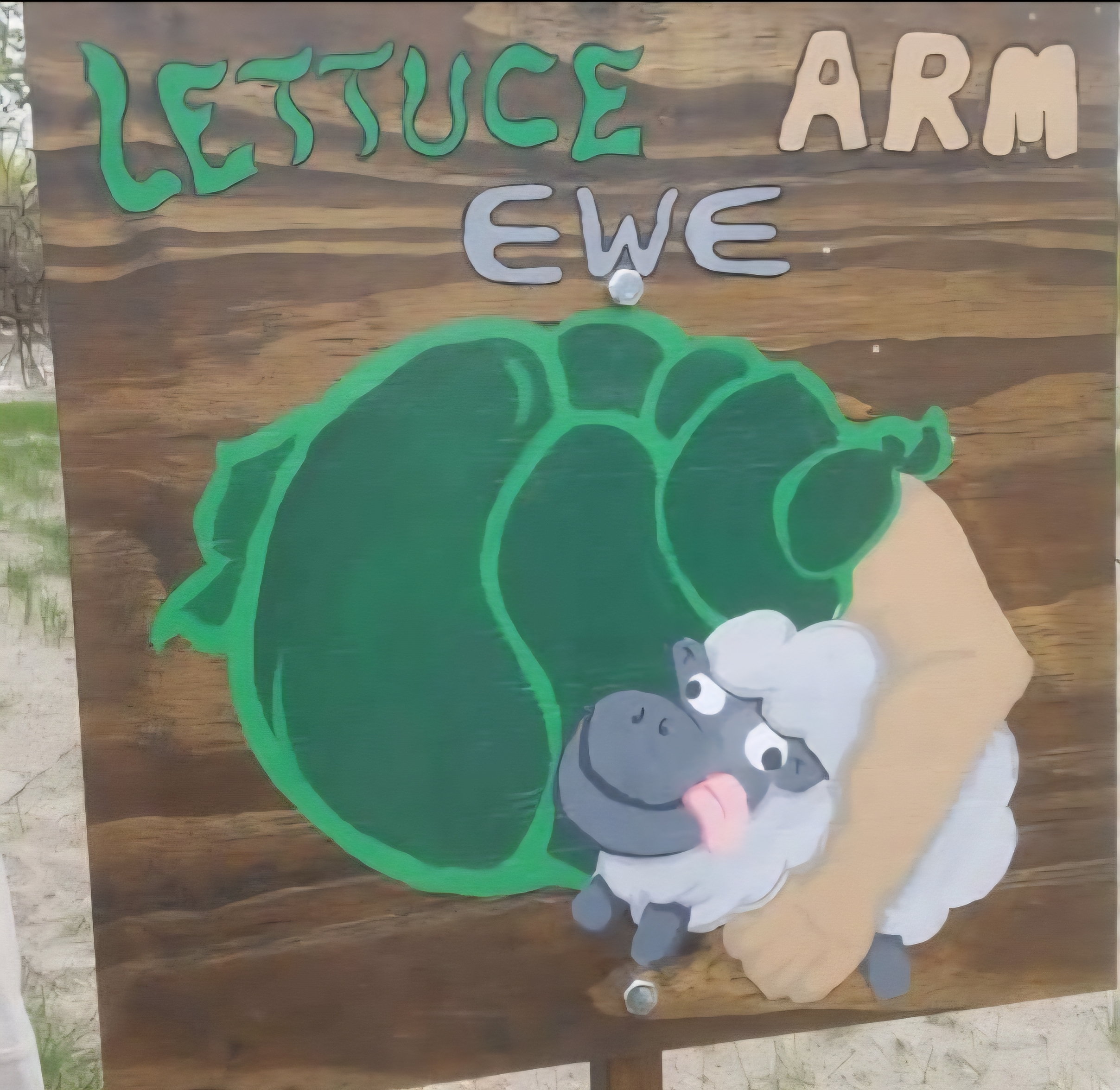Lettuce Arm Ewe